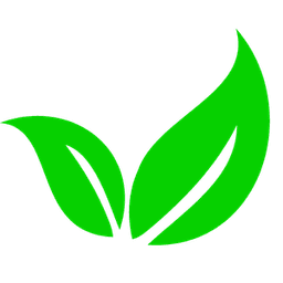 Eco-friendly Celebrations